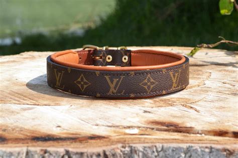 dog louis vuitton collar.